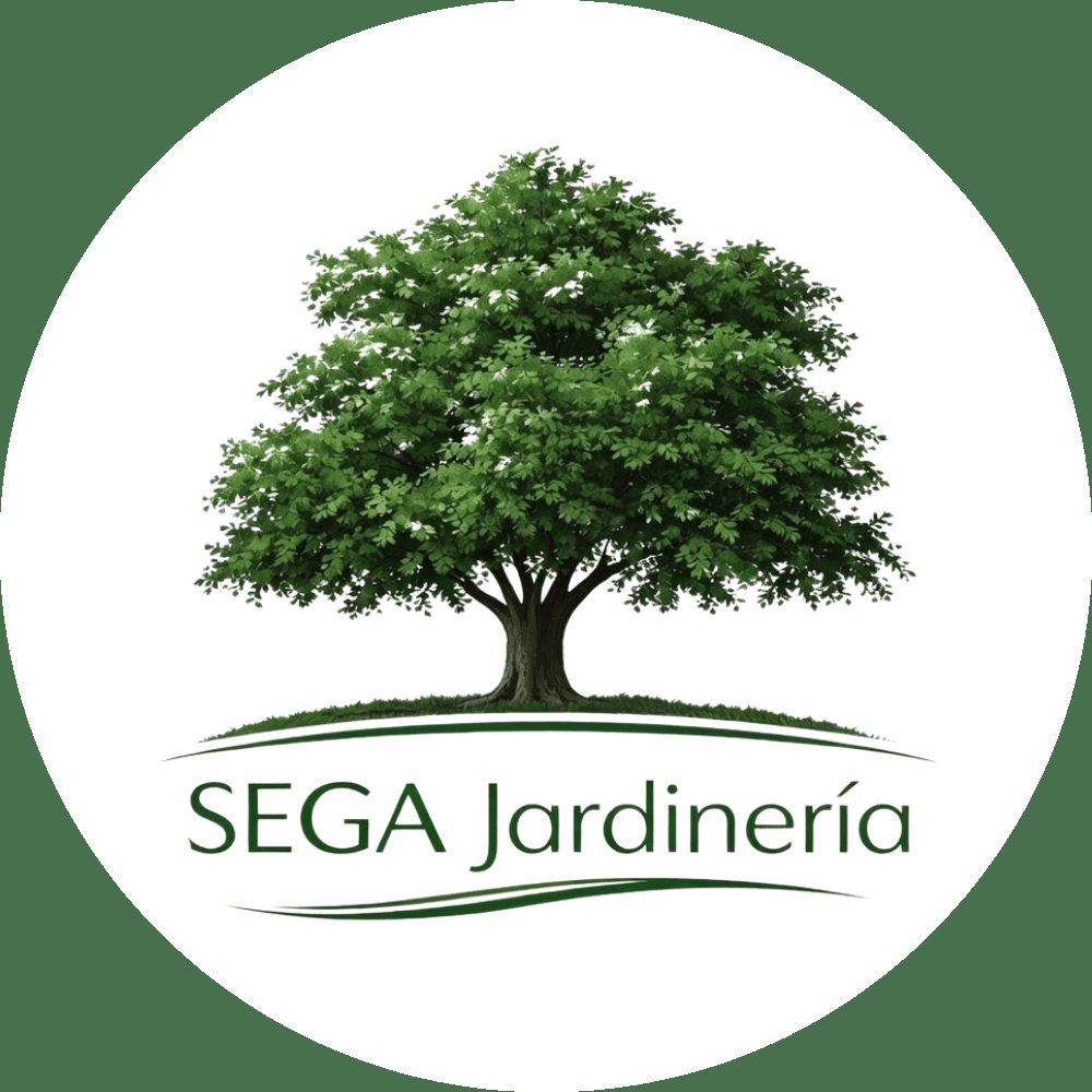 Foto de Obras De Jardineria