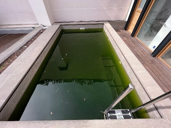 Empresa mantenimiento piscinas en Madrid. Limpiar piscinas antes