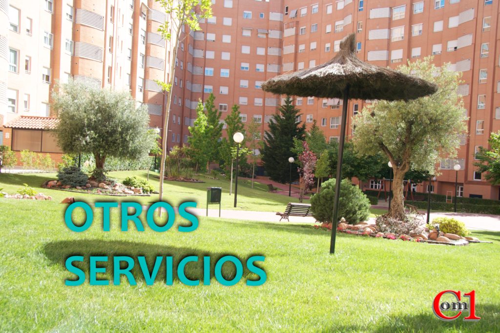 Trabajo de Comuno Koptimo