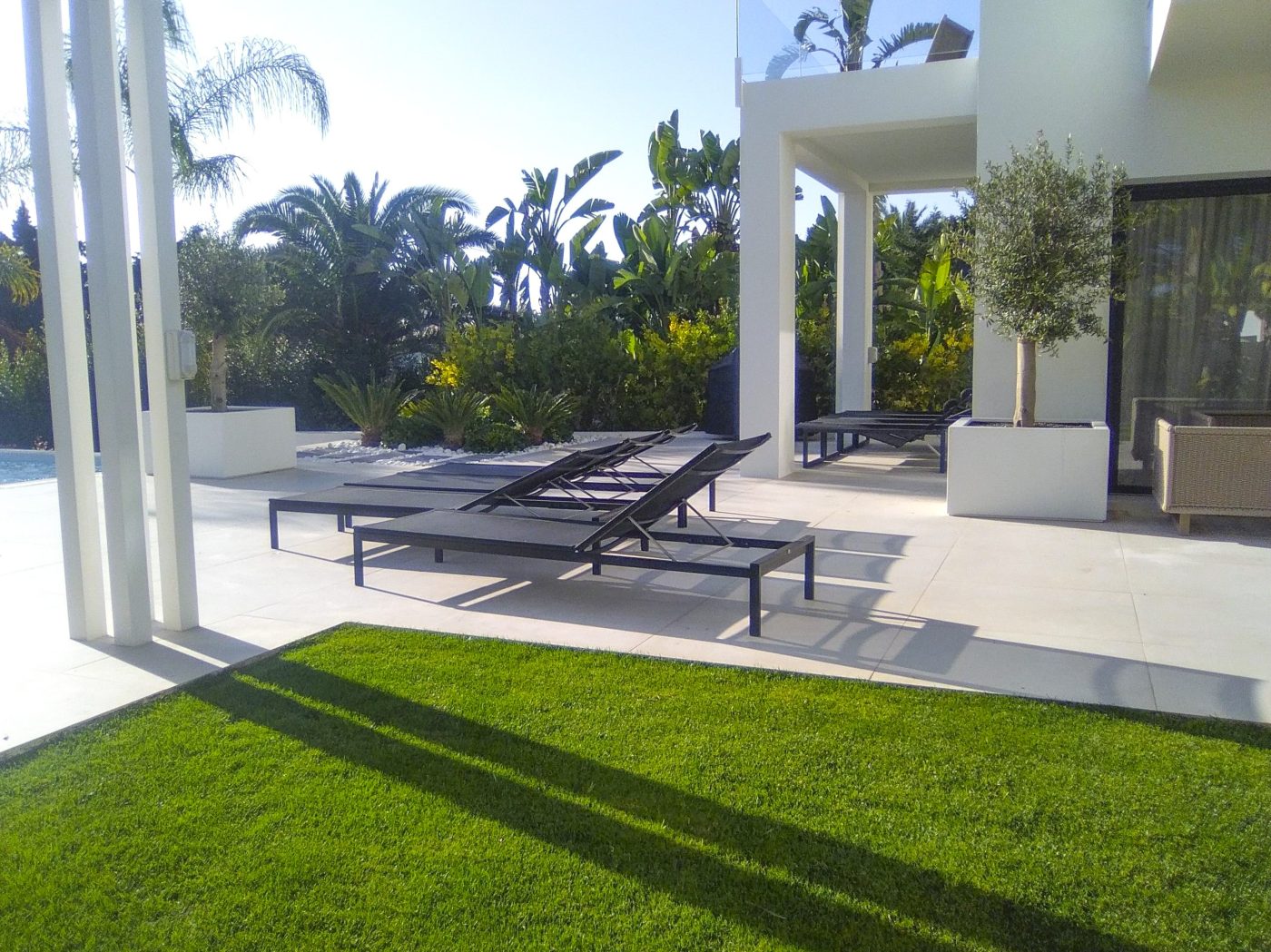 Jardín con Palmeras · Benahavís · Benahavís · Málaga