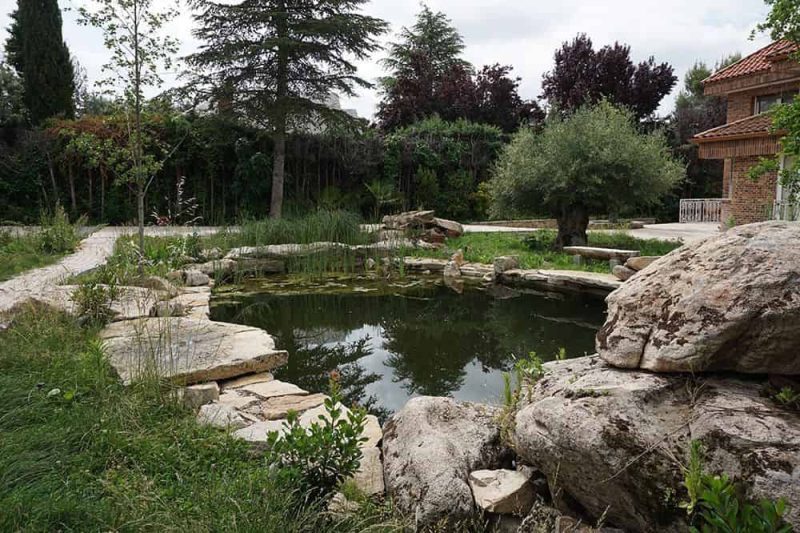 piscina-natural-villaviciosa-5 2023